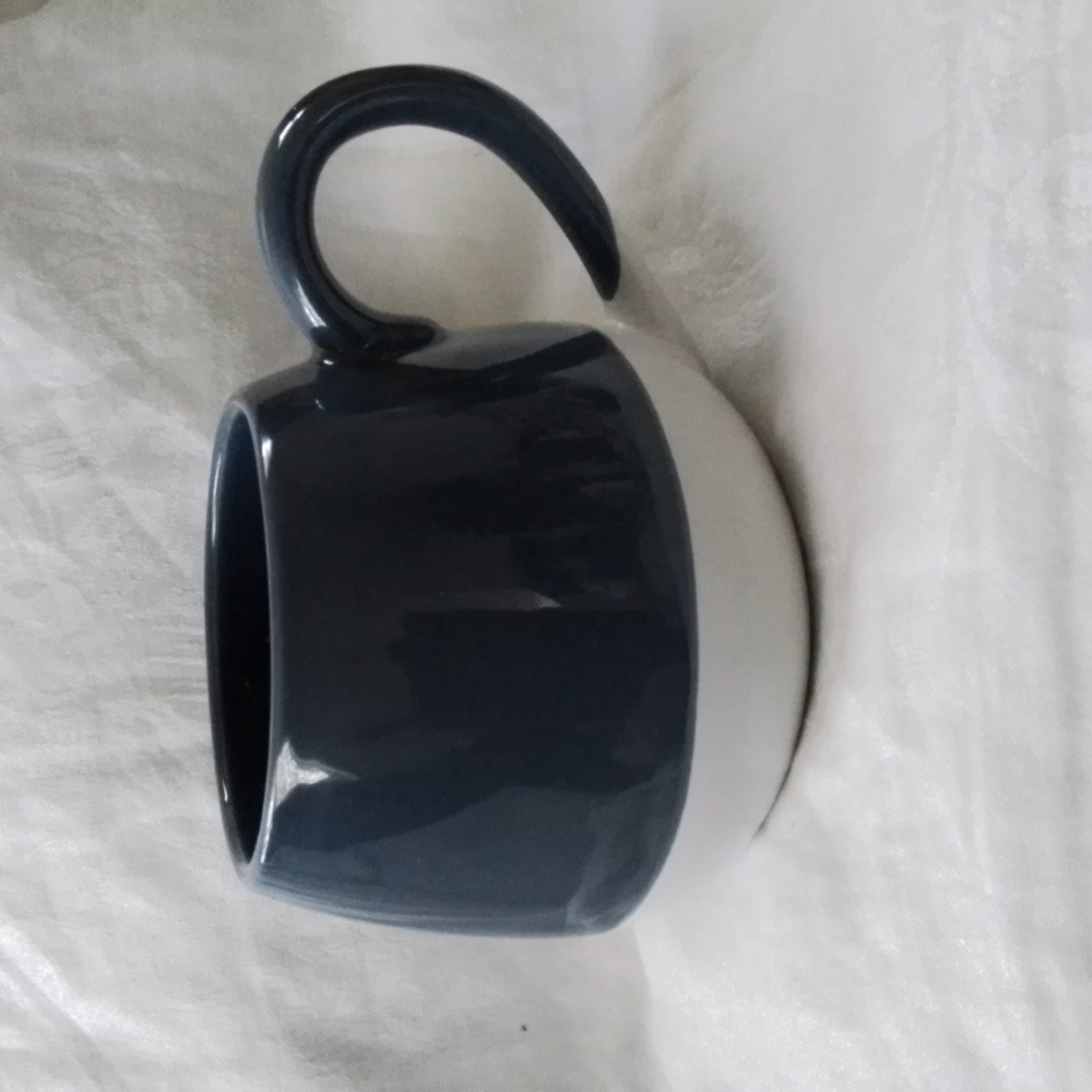 Blue & White Stoneware Mug